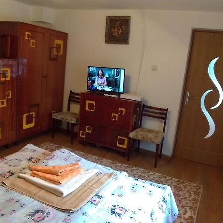 Casa Ana Lägenhet Haţeg Exteriör bild