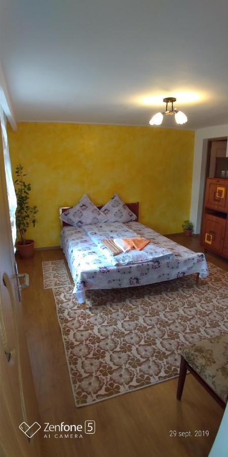 Casa Ana Lägenhet Haţeg Exteriör bild